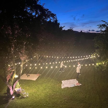 B&B Villa Degli Aceri Carcare エクステリア 写真